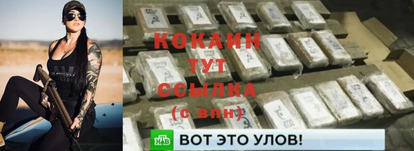 метадон Богородицк