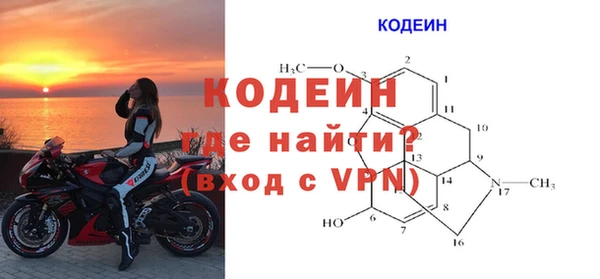 гидра Бородино
