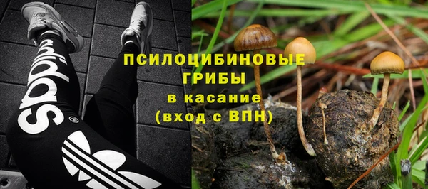 кристаллы Богданович