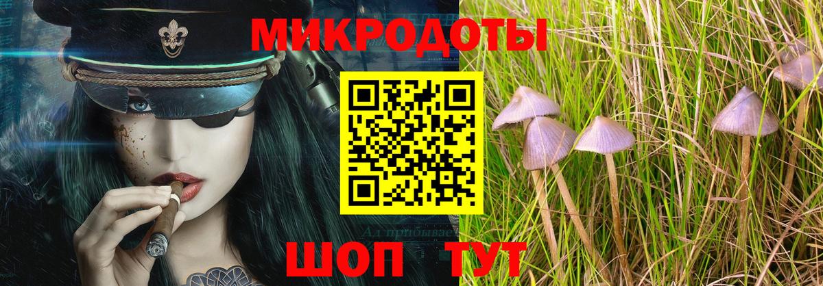 Бугульма  Галлюциногенные грибы Cubensis  Псилоцибиновые грибы Psilocybe  Вход с VPN 