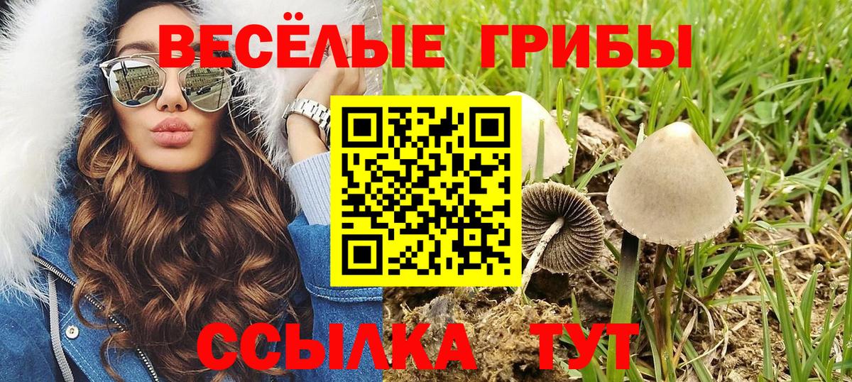 Псилоцибиновые грибы прущие грибы  Бугульма 